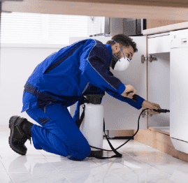 Pest Control
