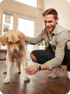 Uber for Dog-Sitting