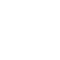 Software Product Development