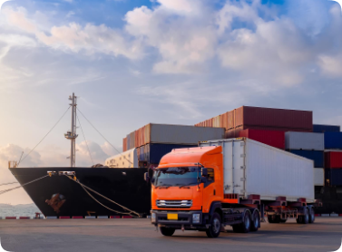 MVP Software Development for Logistics