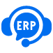 ERP Support & Maintenance