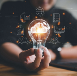 Development Timeline and Its Impact