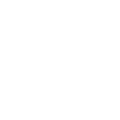 Natural Language Processing (NLP)