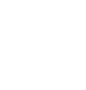 Dedicated Development Team
