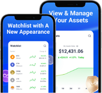 Webull Pay
