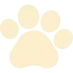 Pet Care Platform