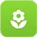 Flower Industry
