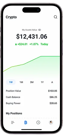 Webull Pay