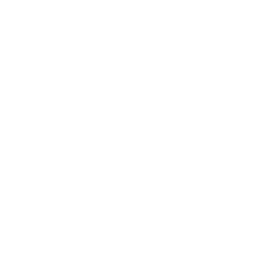 Testing & Quality Assurance