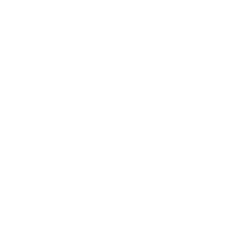 Voice Search and Chatbots