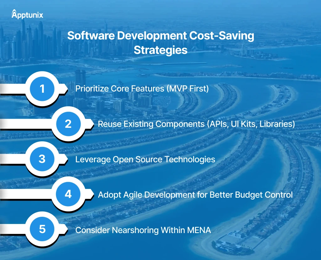 Cost-Saving Strategies for software development