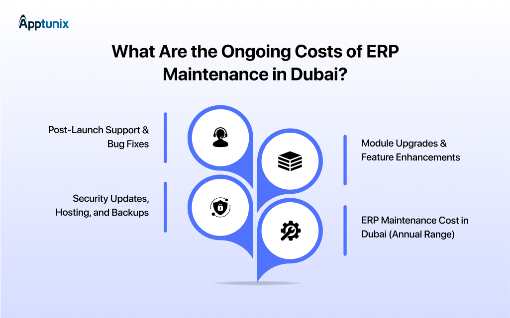 ERP maintenance cost 